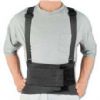 The Industrial Lumbar Support